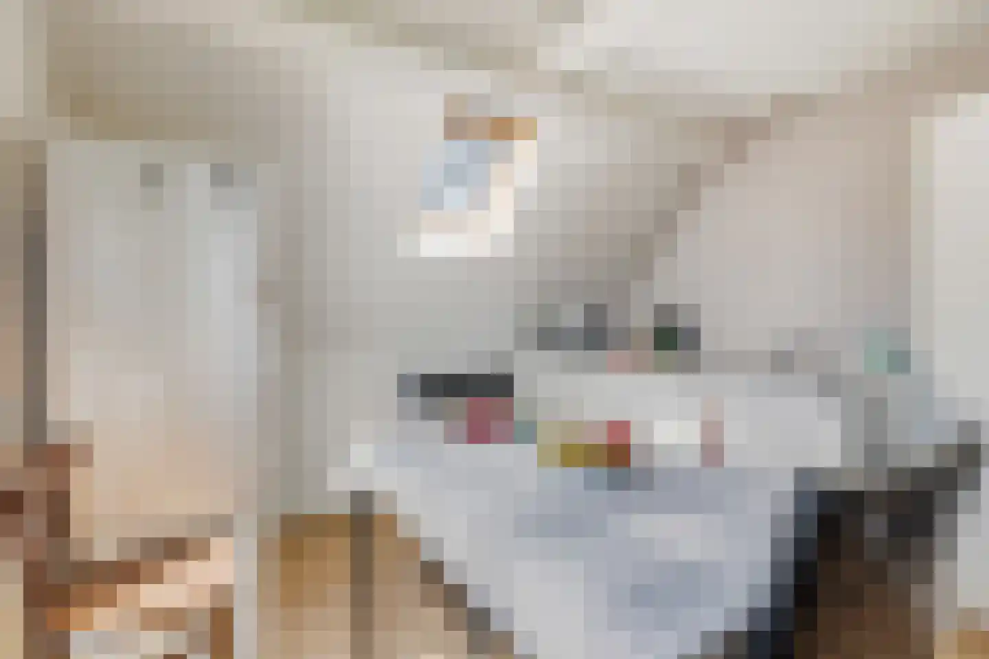 Rozenstraat 23 Zeist thumbnail 41