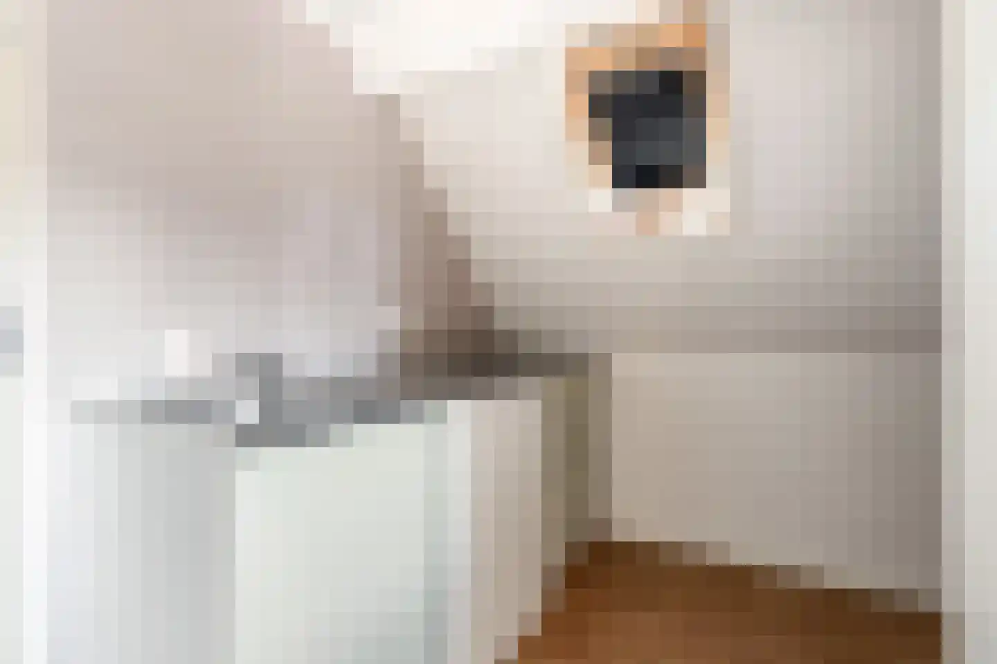 Rozenstraat 23 Zeist thumbnail 43