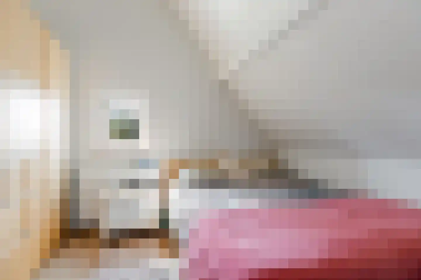 Rozenstraat 23 Zeist thumbnail 44