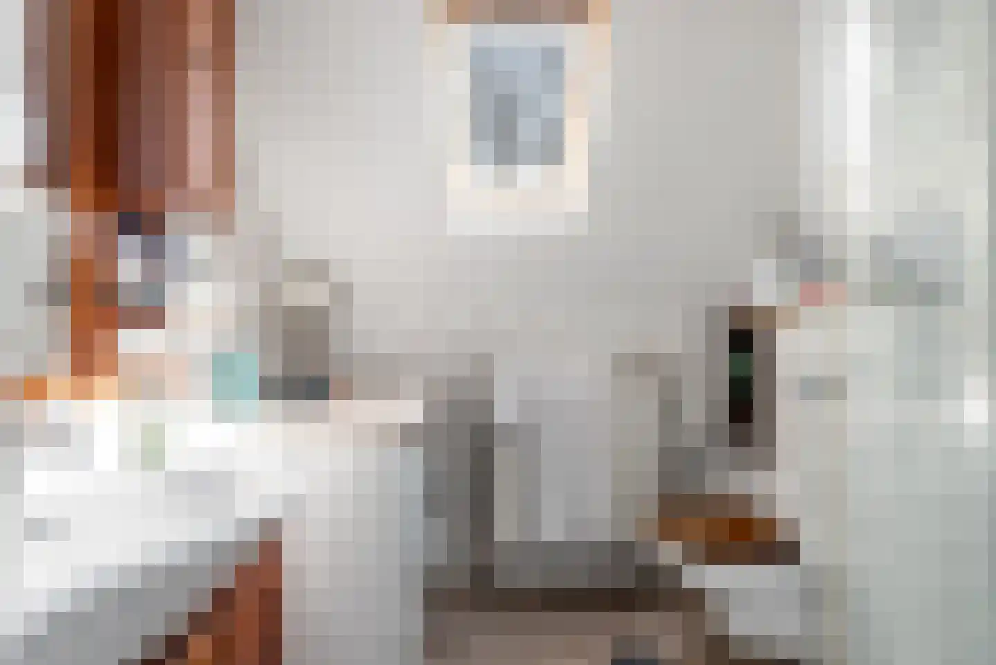 Rozenstraat 23 Zeist thumbnail 45