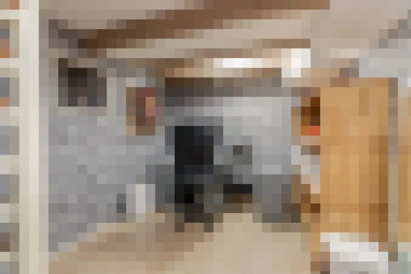 Rozenstraat 23 Zeist thumbnail 47