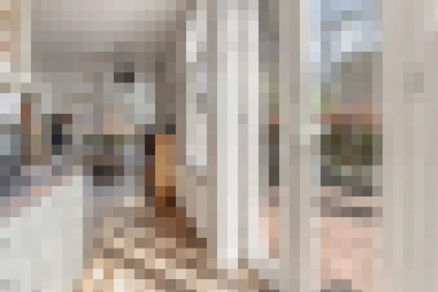Rozenstraat 23 Zeist thumbnail 49