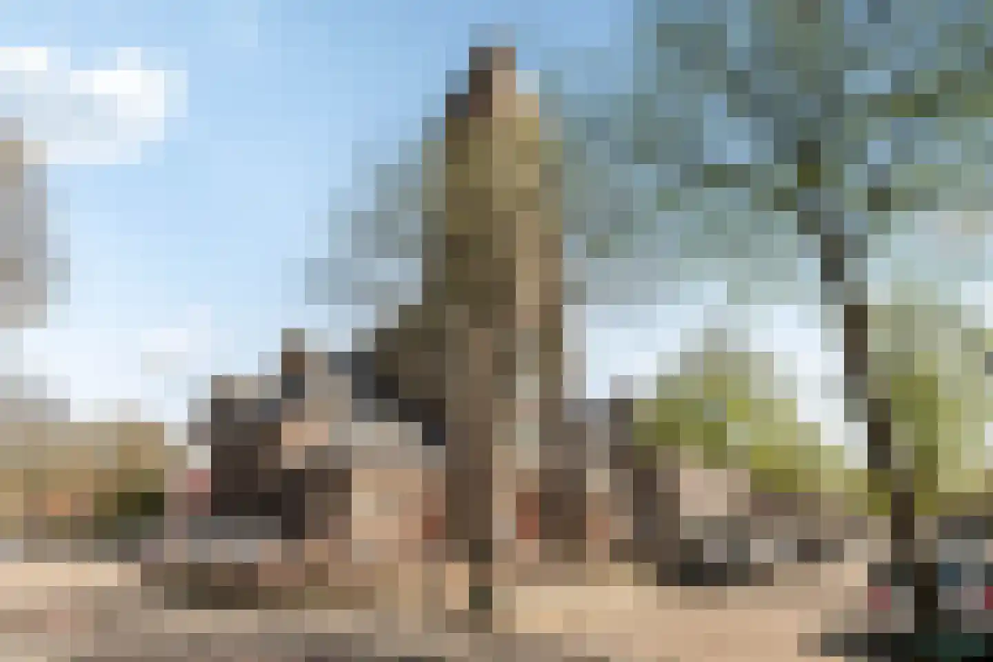 Rozenstraat 23 Zeist thumbnail 5