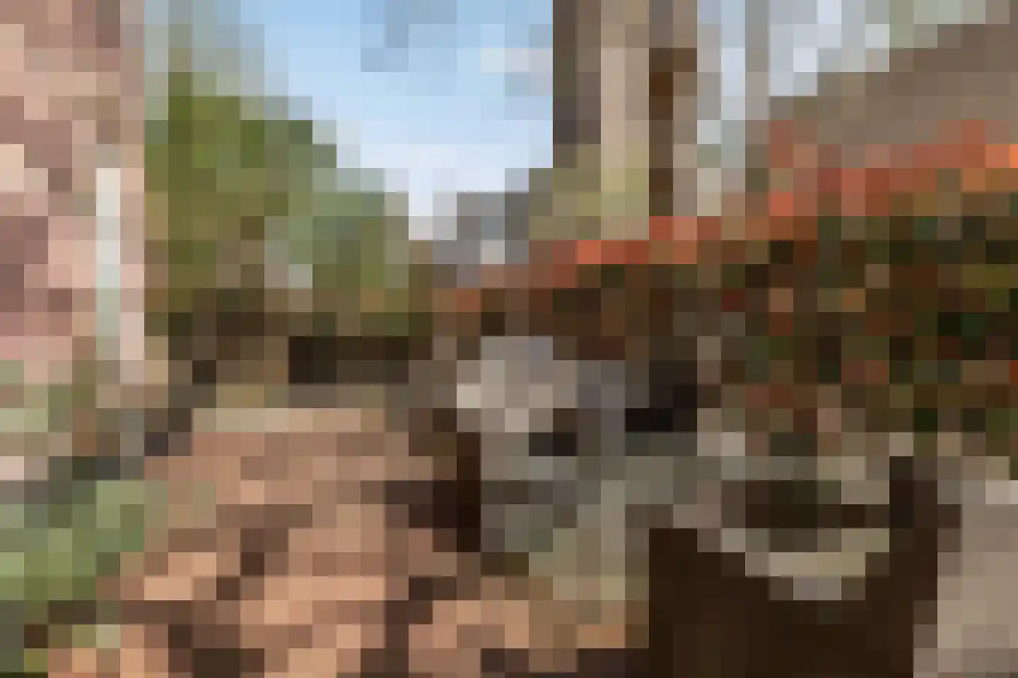 Rozenstraat 23 Zeist thumbnail 51