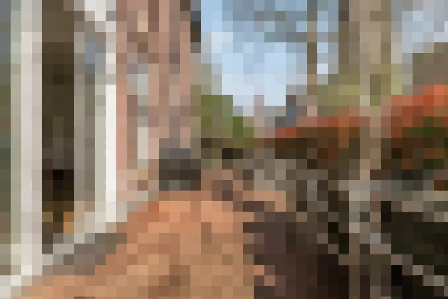 Rozenstraat 23 Zeist thumbnail 55
