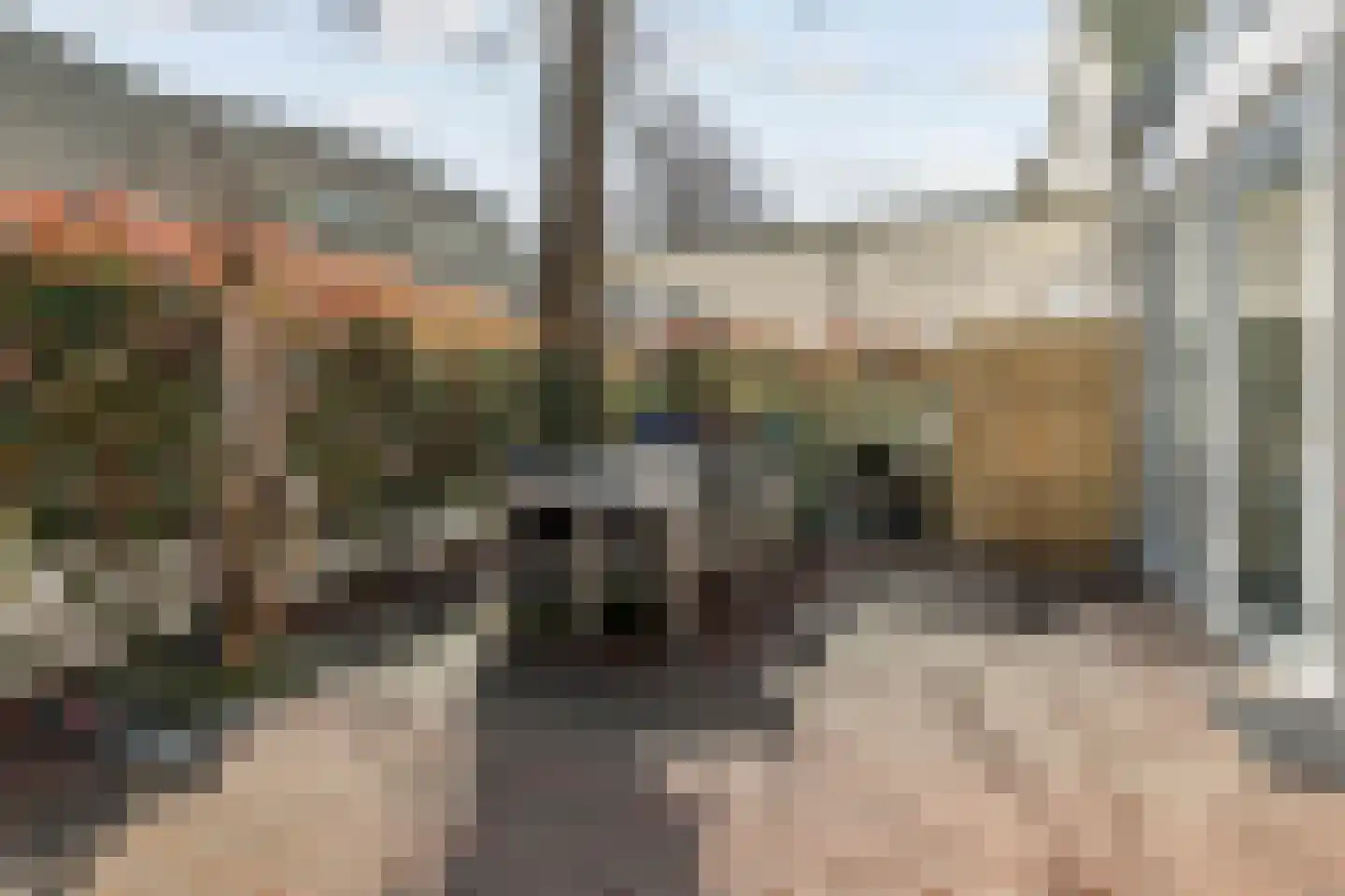 Rozenstraat 23 Zeist thumbnail 56