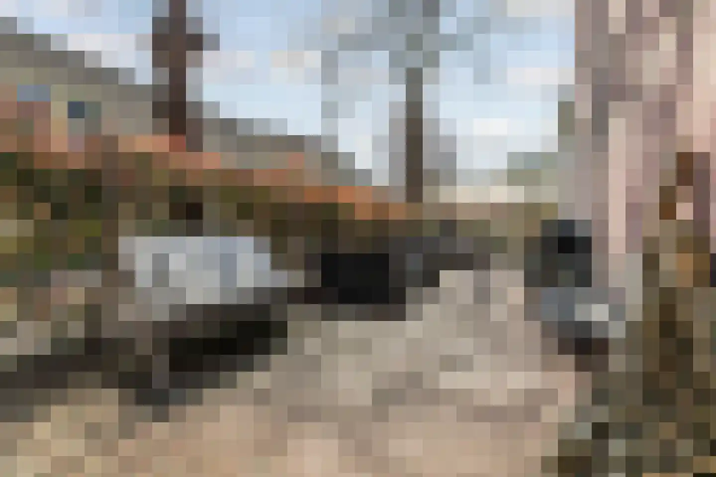 Rozenstraat 23 Zeist thumbnail 57