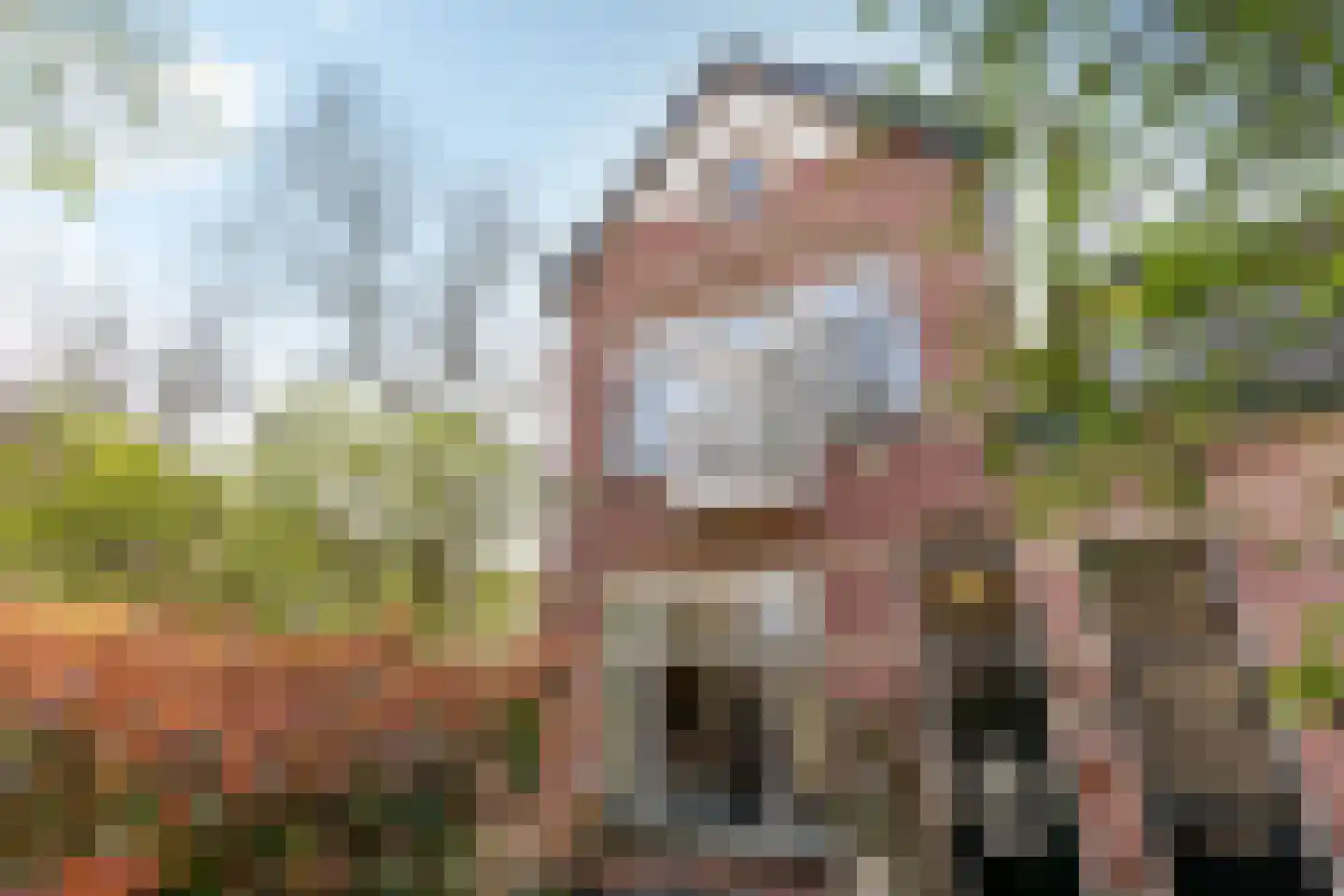 Rozenstraat 23 Zeist thumbnail 9