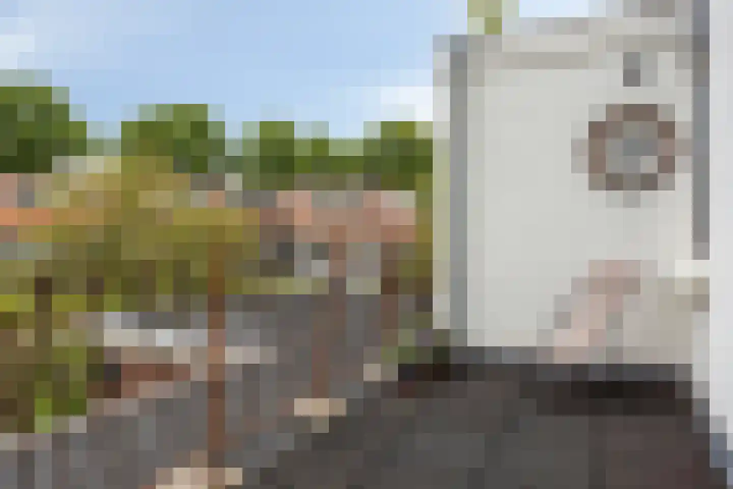 Rozenstraat 24 Arnhem thumbnail 11