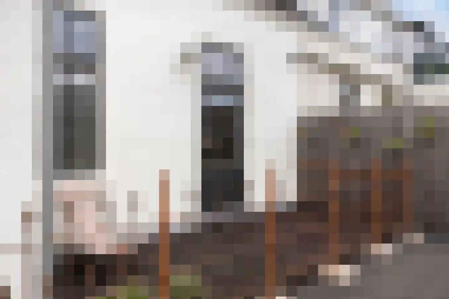 Rozenstraat 24 Arnhem thumbnail 12