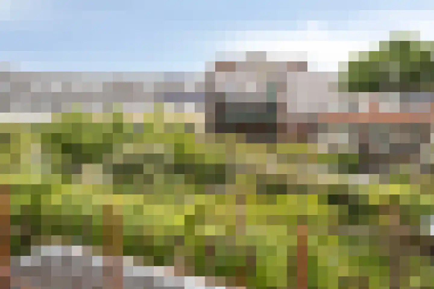 Rozenstraat 24 Arnhem thumbnail 13