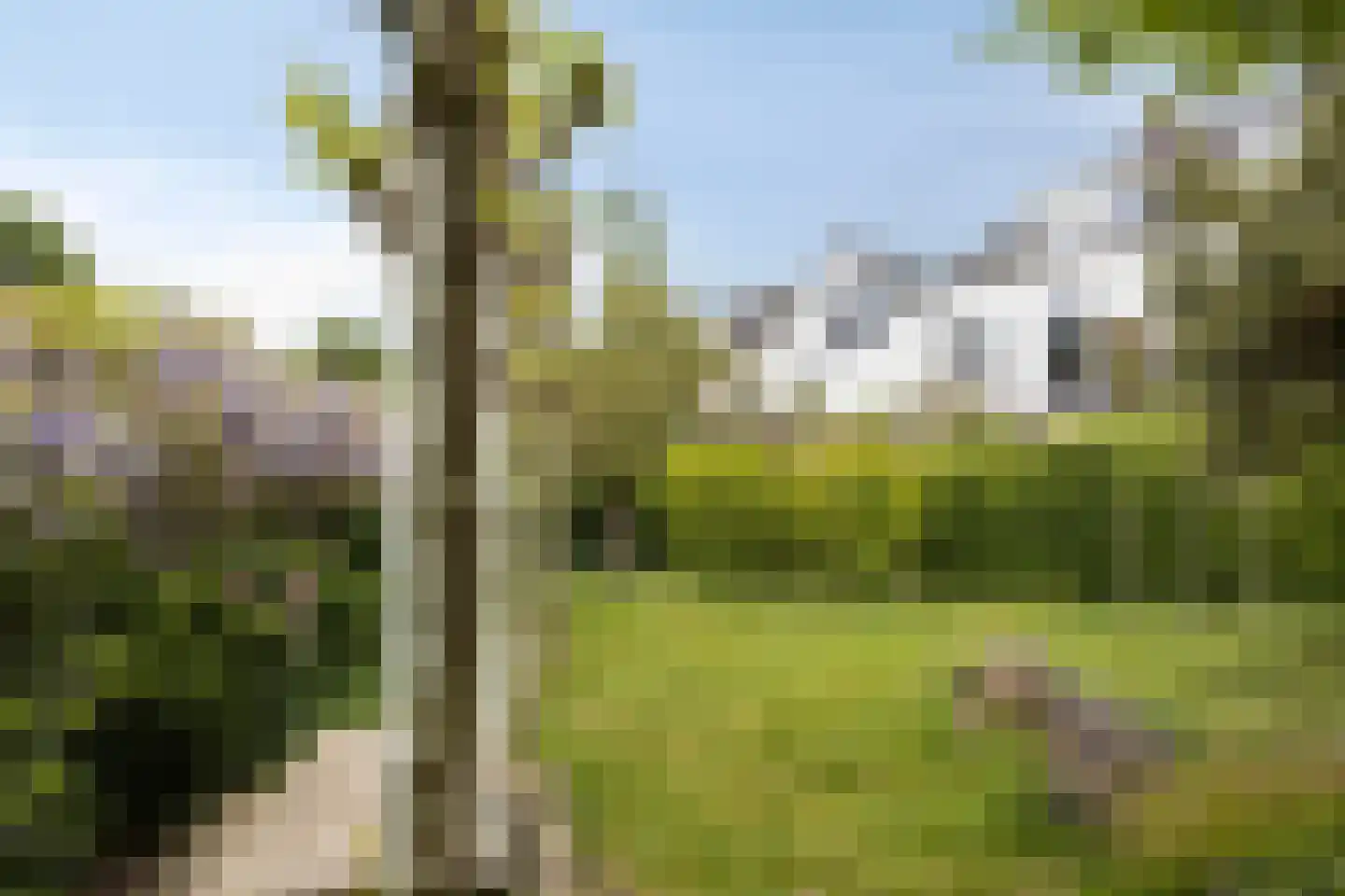 Rozenstraat 24 Arnhem thumbnail 30