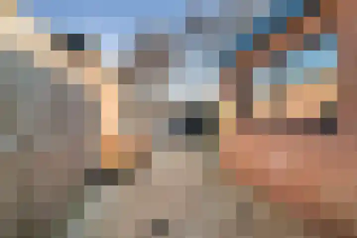 Rozenstraat 25 Den Helder thumbnail 23