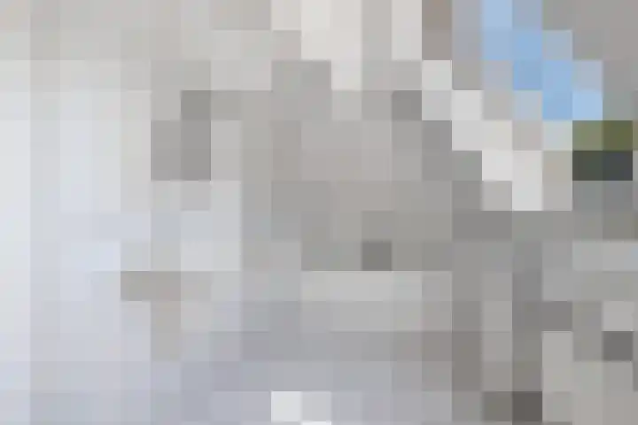 Rozenstraat 25 Den Helder thumbnail 5