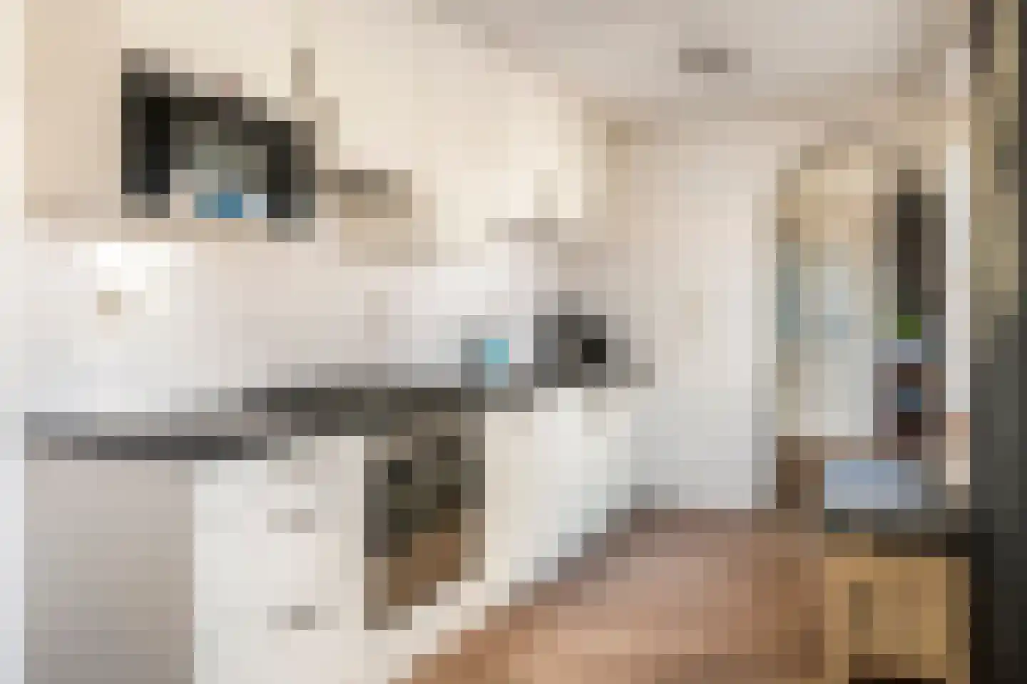 Rozenstraat 25 Tiel thumbnail 12
