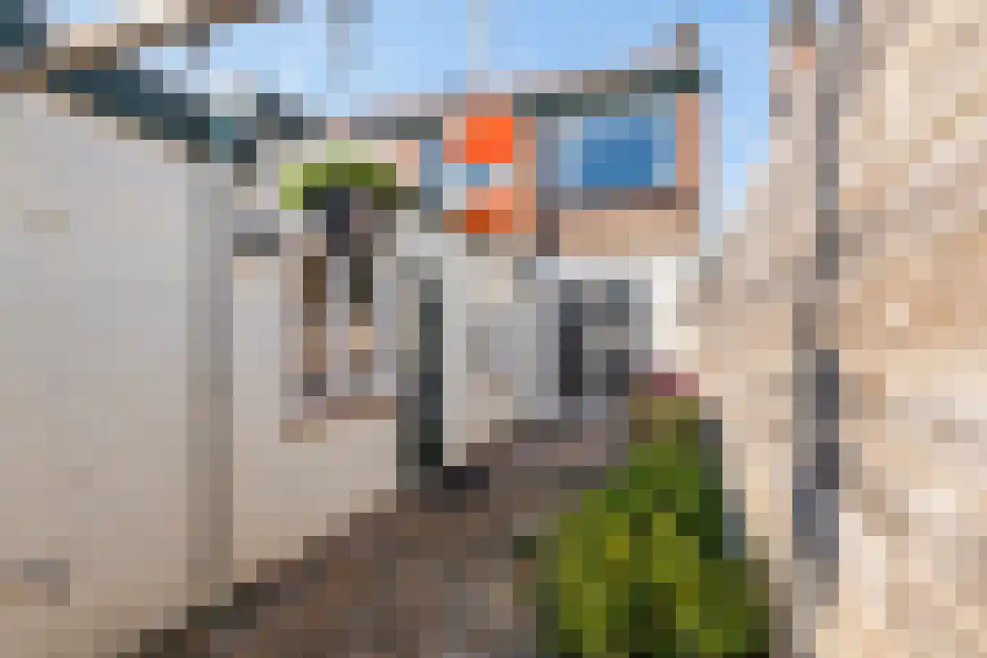 Rozenstraat 25 Tiel thumbnail 23