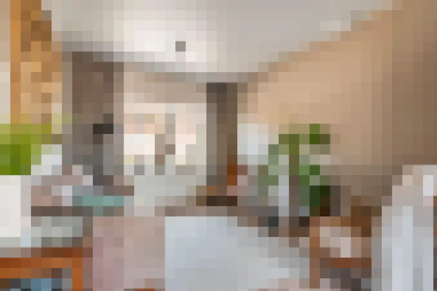 Rozenstraat 25 Tiel thumbnail 7