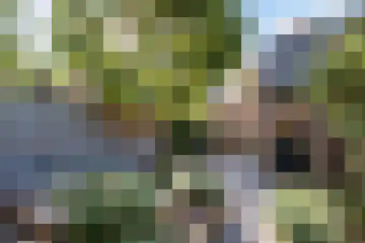 Rozenstraat 25 Woerden thumbnail 27