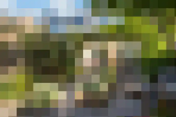 Rozenstraat 25 Woerden thumbnail 28