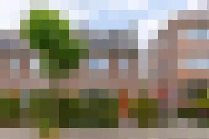 Rozenstraat 26 Almelo thumbnail 25