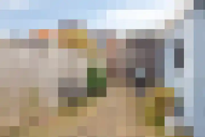 Rozenstraat 26 Almelo thumbnail 27