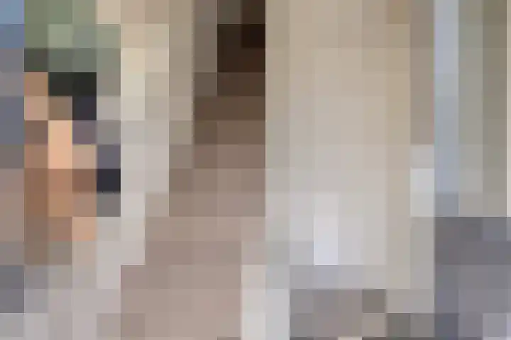 Rozenstraat 26 Almelo foto 3