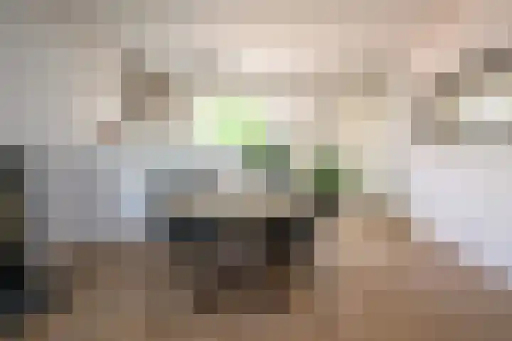 Rozenstraat 26 Huizen thumbnail 10