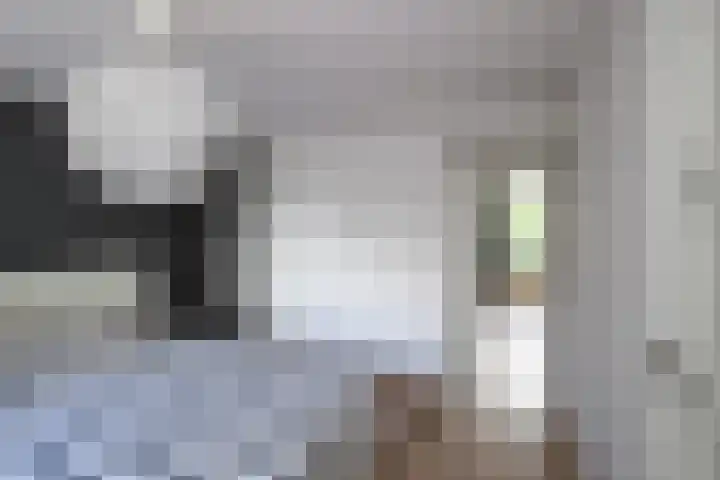 Rozenstraat 26 Huizen thumbnail 20