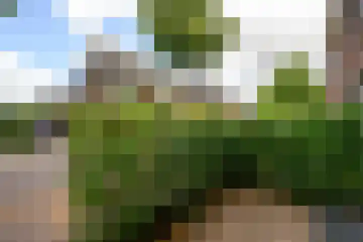 Rozenstraat 26 Huizen thumbnail 31
