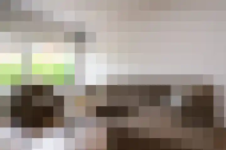 Rozenstraat 26 Huizen thumbnail 6
