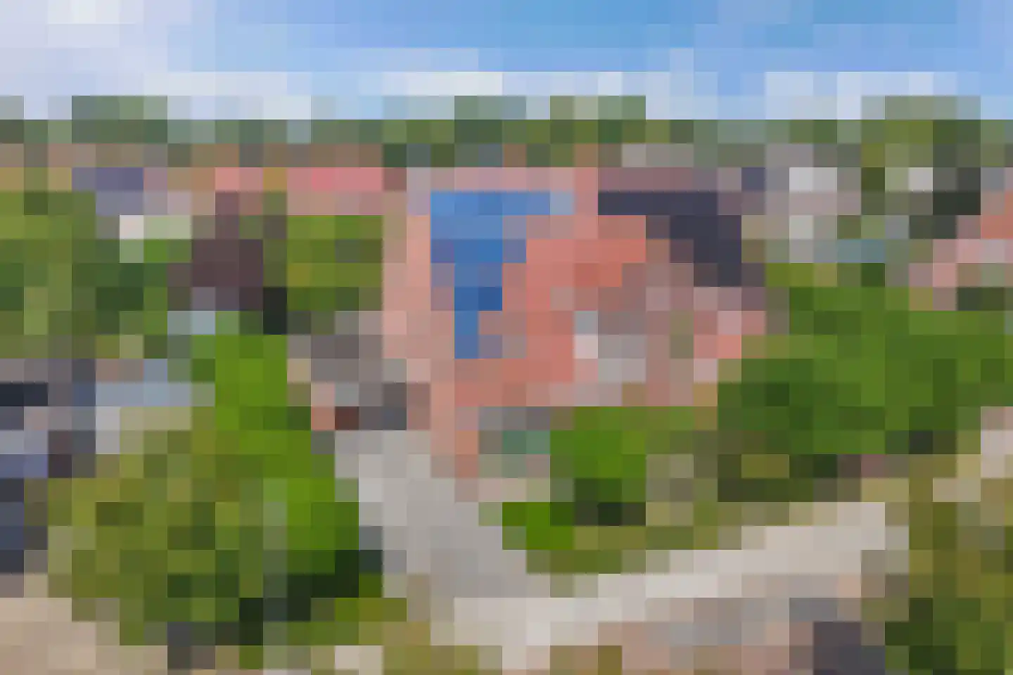 Rozenstraat 26 Luttelgeest thumbnail 13