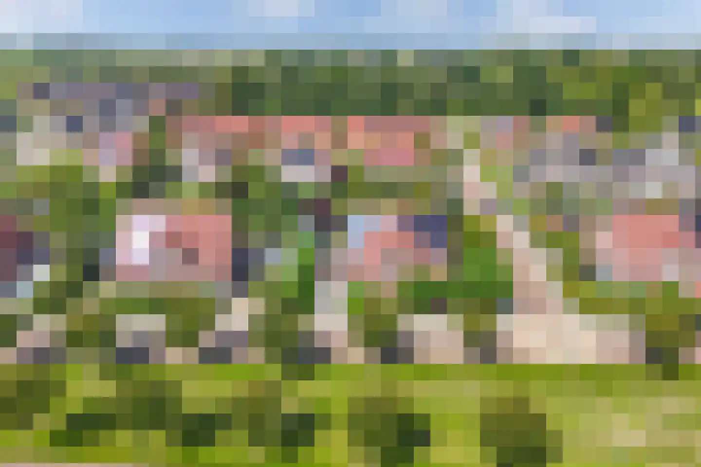 Rozenstraat 26 Luttelgeest thumbnail 16