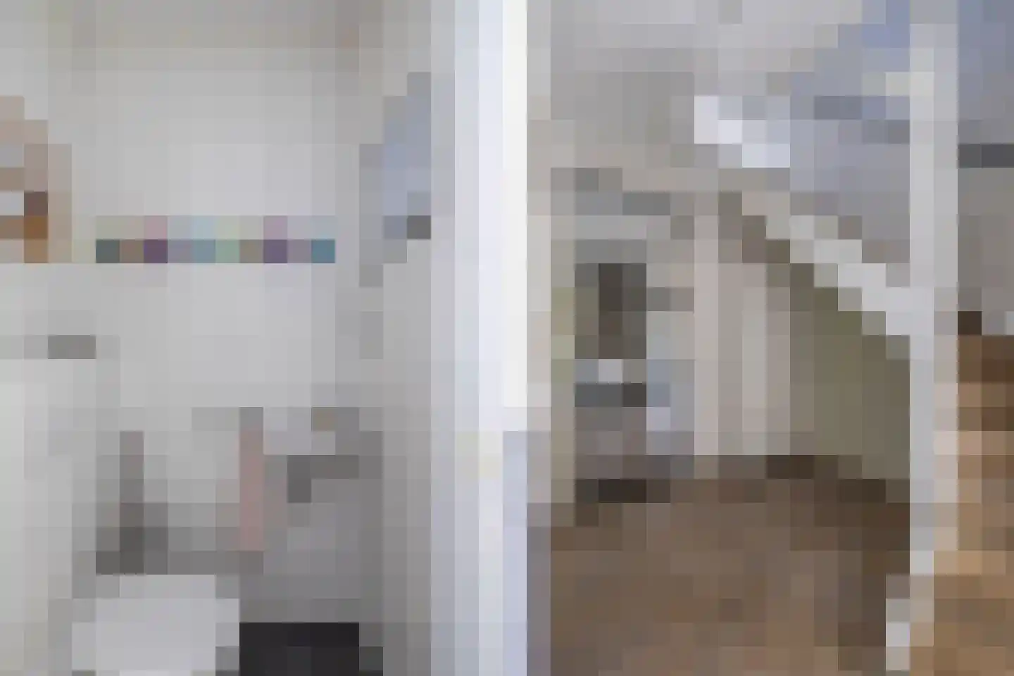 Rozenstraat 26 Luttelgeest thumbnail 19