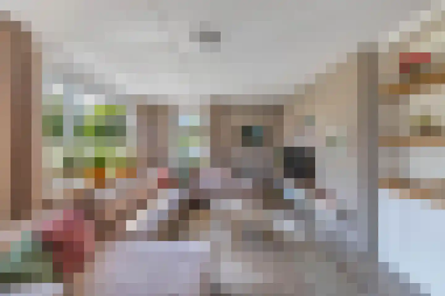 Rozenstraat 26 Luttelgeest thumbnail 22