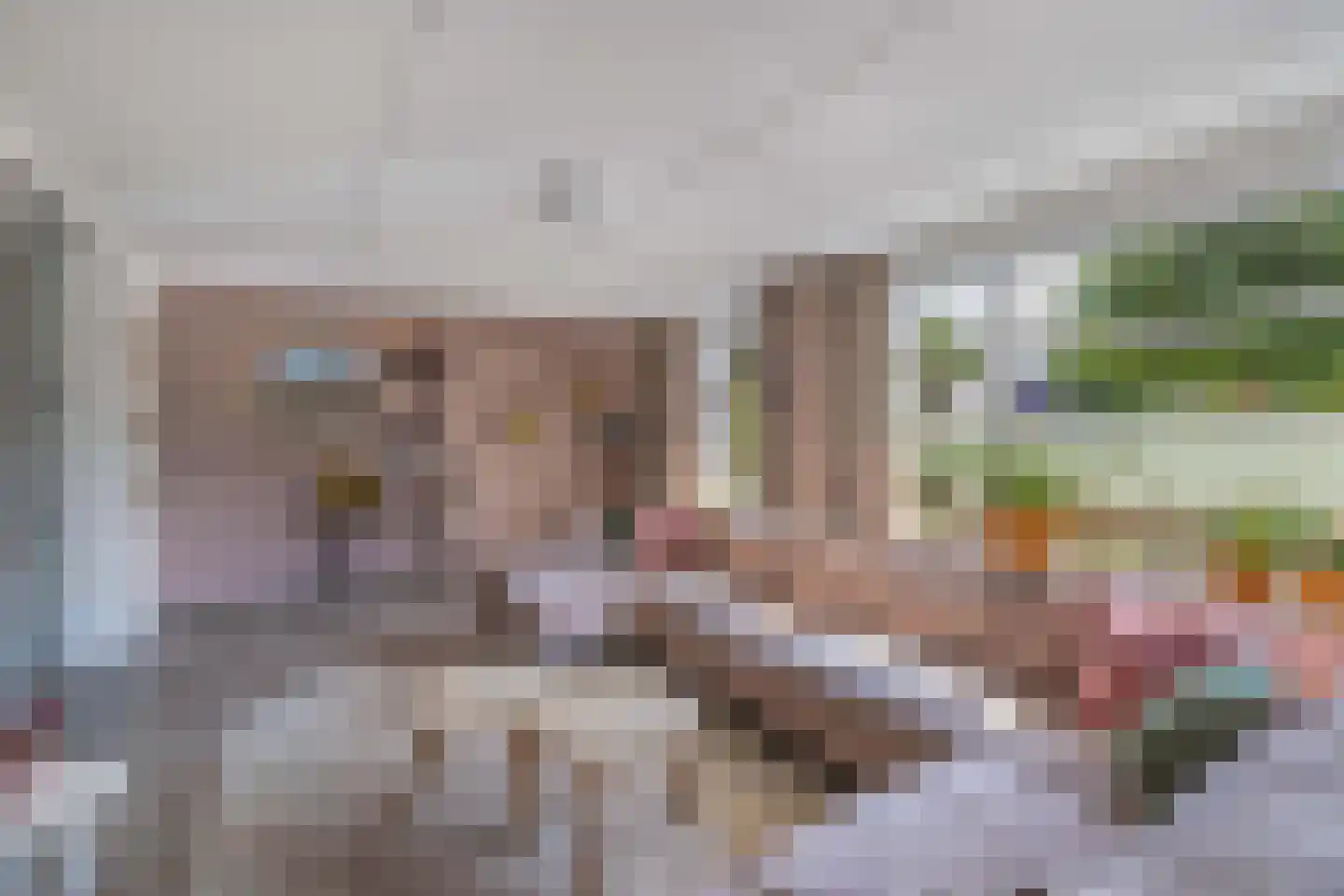 Rozenstraat 26 Luttelgeest thumbnail 23