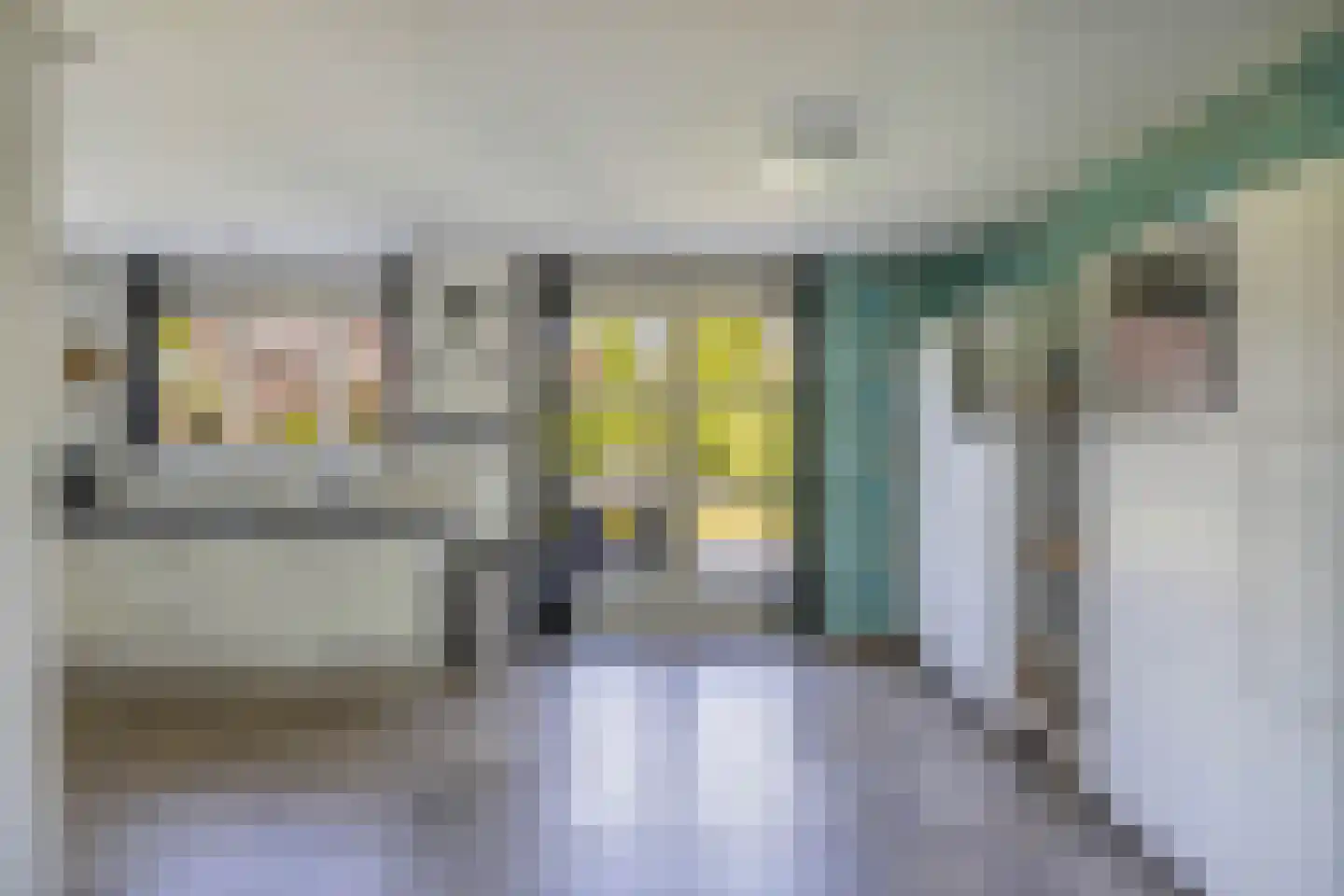 Rozenstraat 26 Luttelgeest thumbnail 27