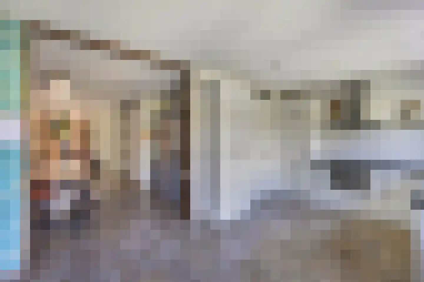 Rozenstraat 26 Luttelgeest thumbnail 28
