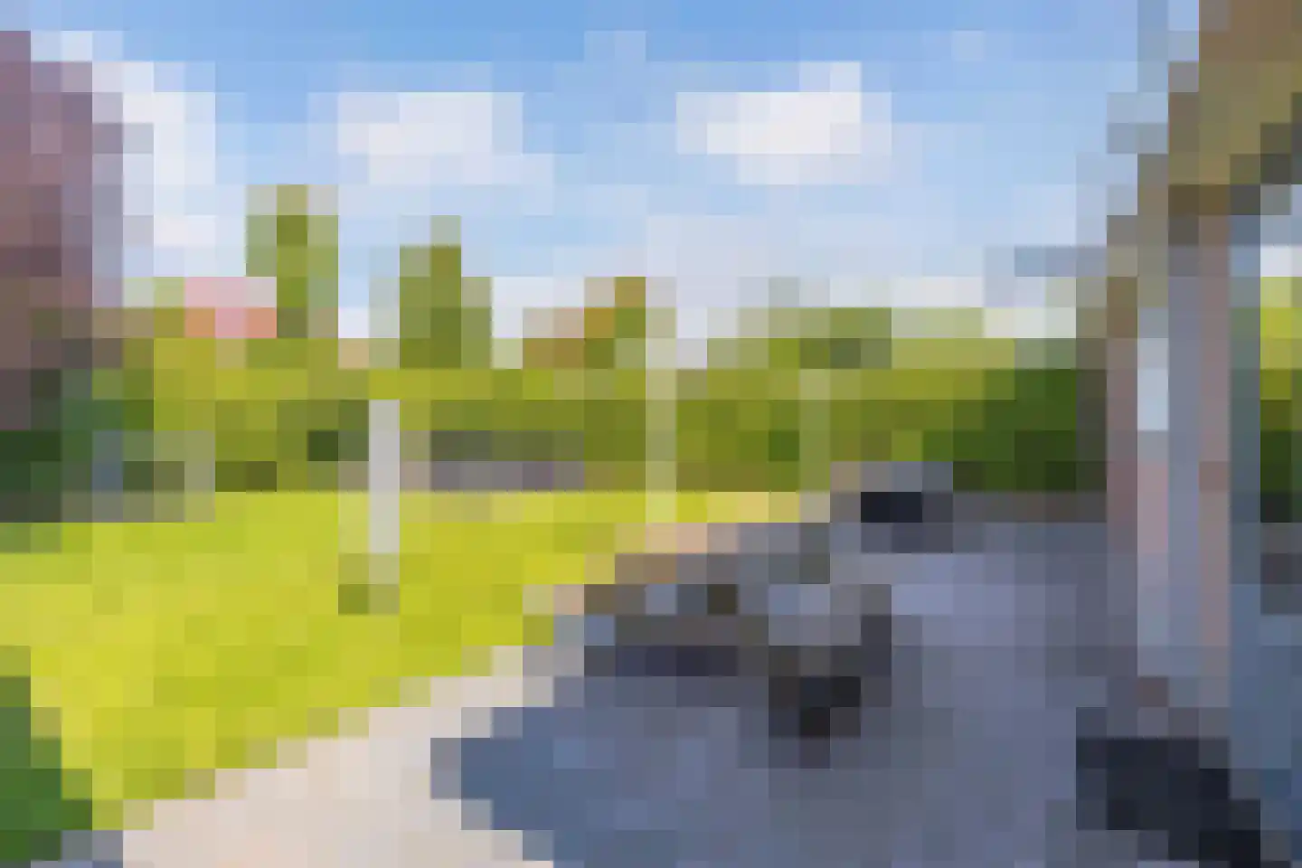 Rozenstraat 26 Luttelgeest thumbnail 39