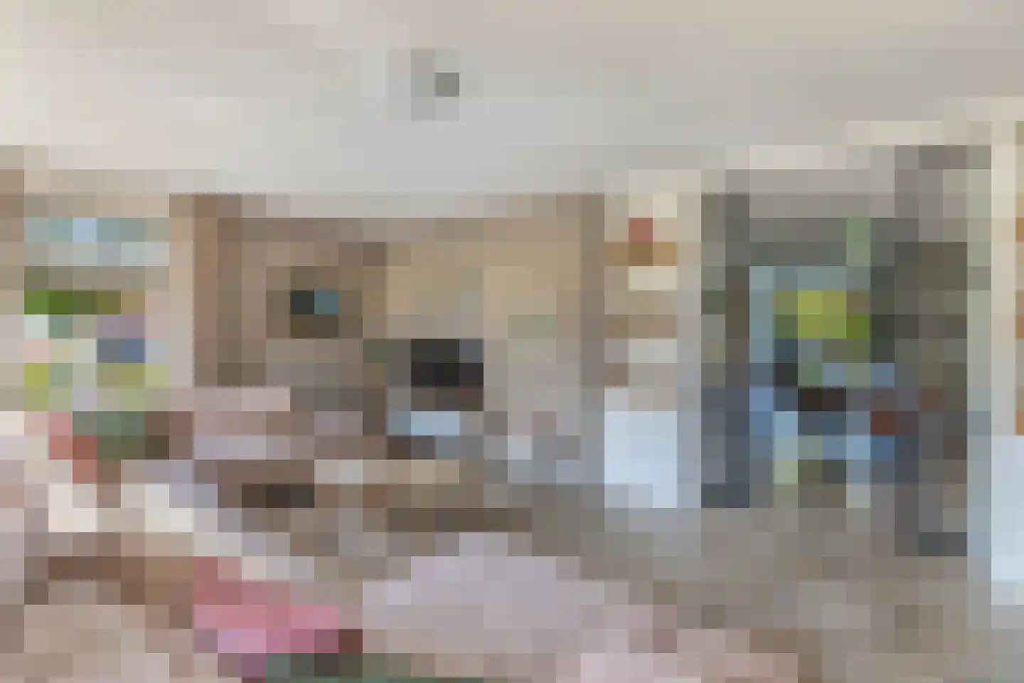 Rozenstraat 26 Luttelgeest thumbnail 4