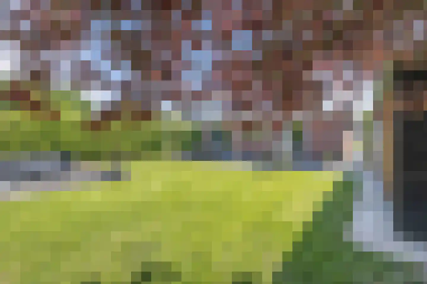 Rozenstraat 26 Luttelgeest thumbnail 42
