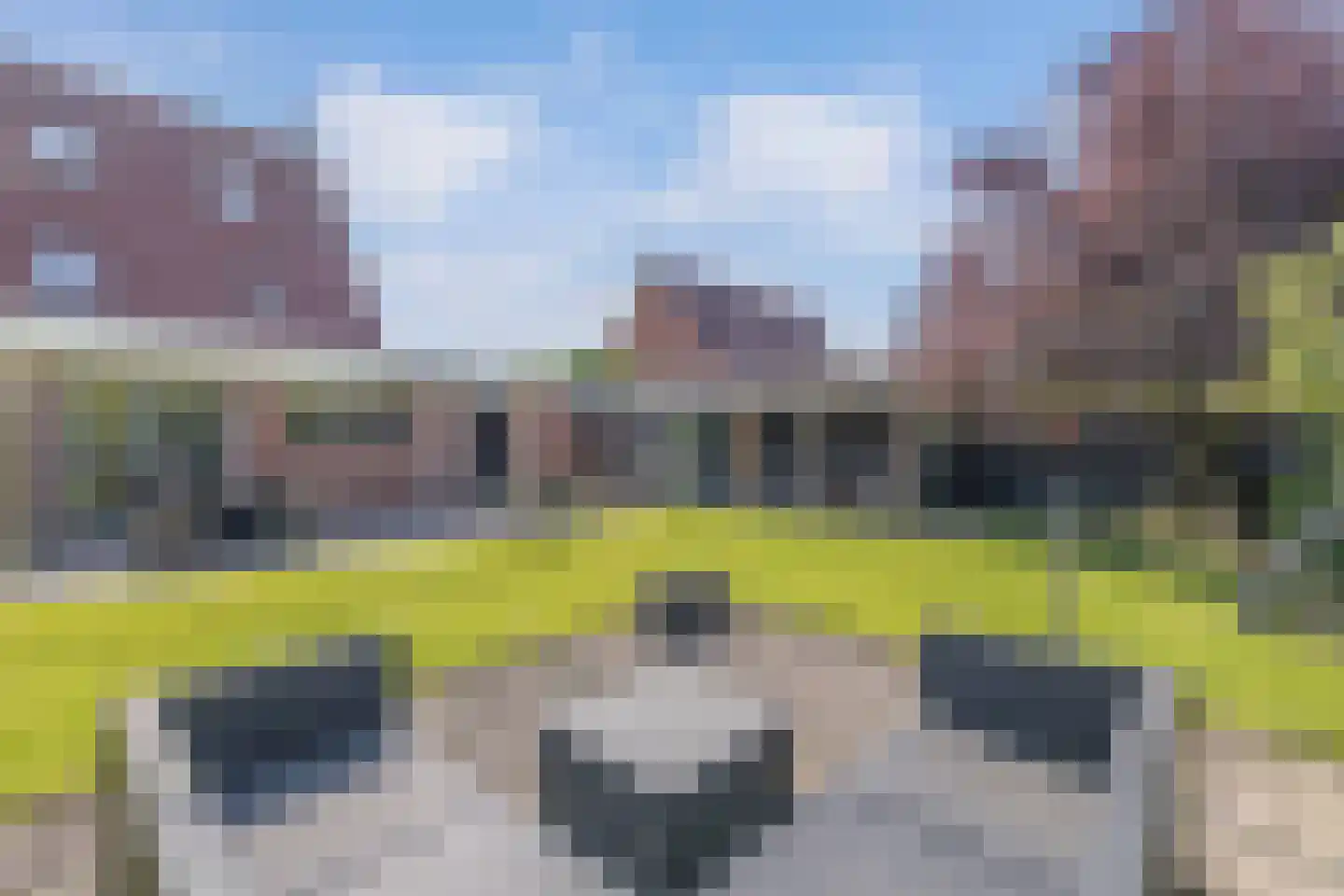 Rozenstraat 26 Luttelgeest thumbnail 44