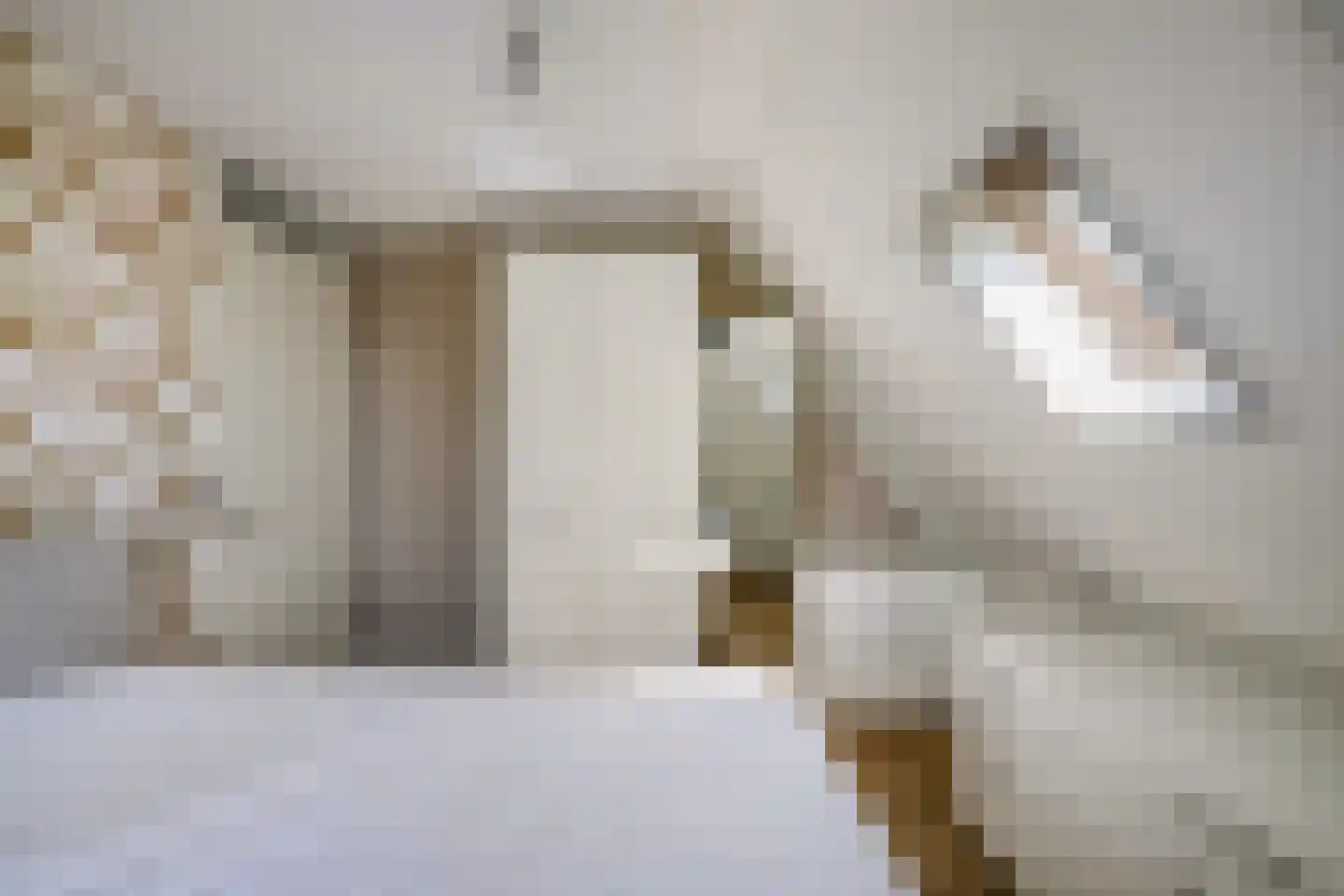 Rozenstraat 26 Luttelgeest thumbnail 48