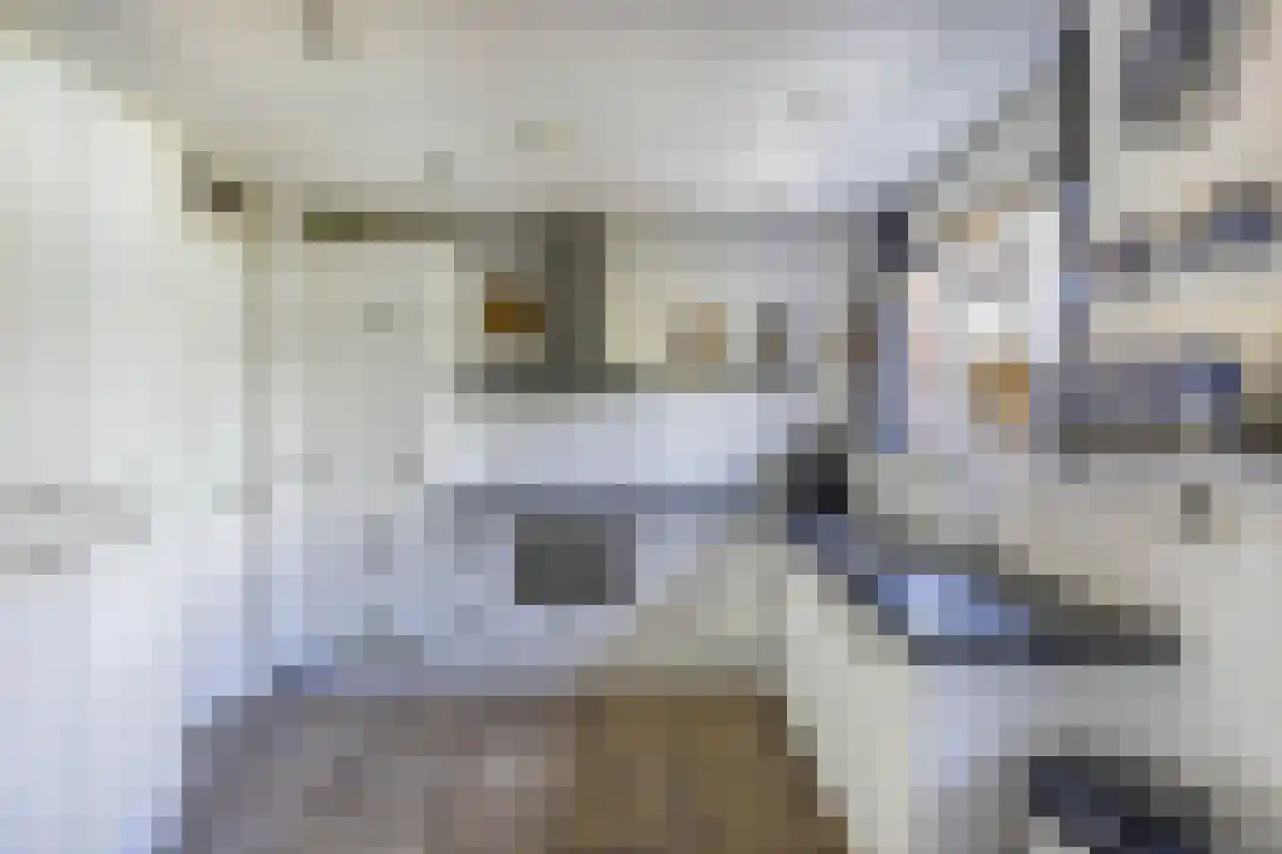 Rozenstraat 26 Luttelgeest thumbnail 5