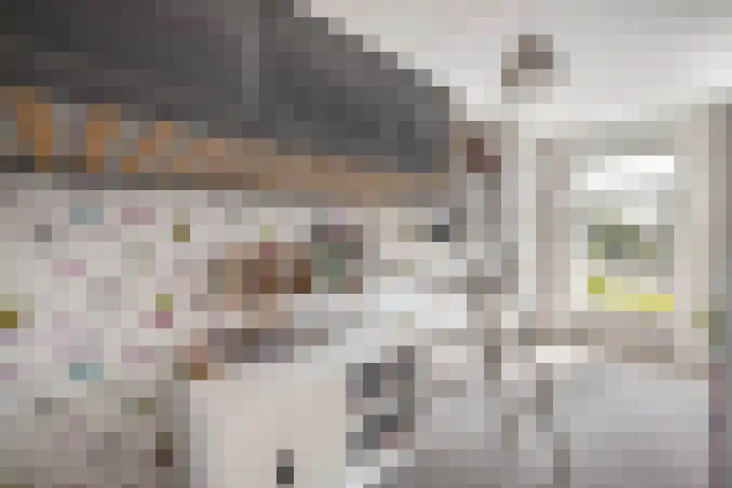 Rozenstraat 26 Luttelgeest thumbnail 51