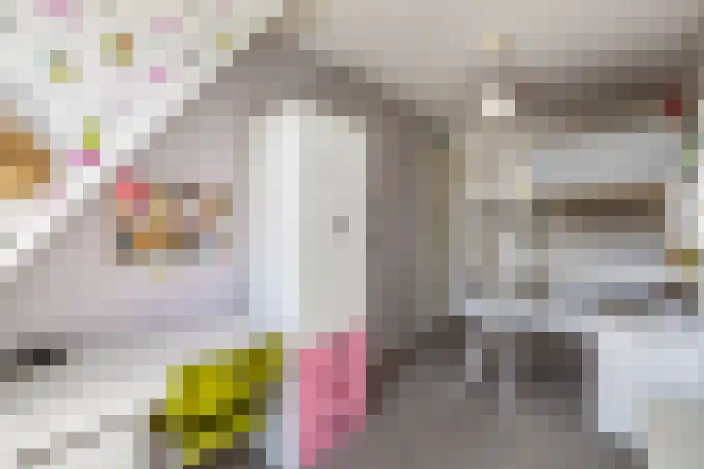 Rozenstraat 26 Luttelgeest thumbnail 52