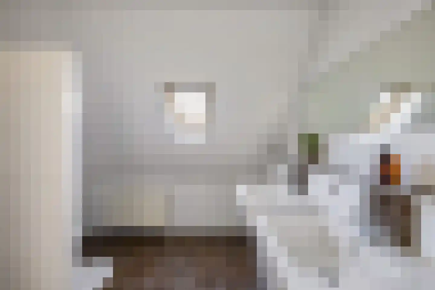 Rozenstraat 26 Luttelgeest thumbnail 53