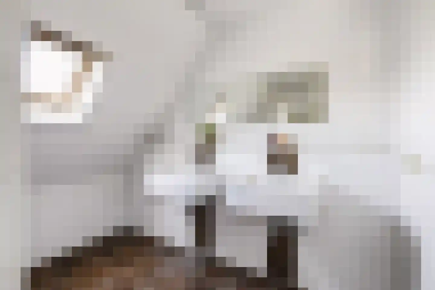 Rozenstraat 26 Luttelgeest thumbnail 54