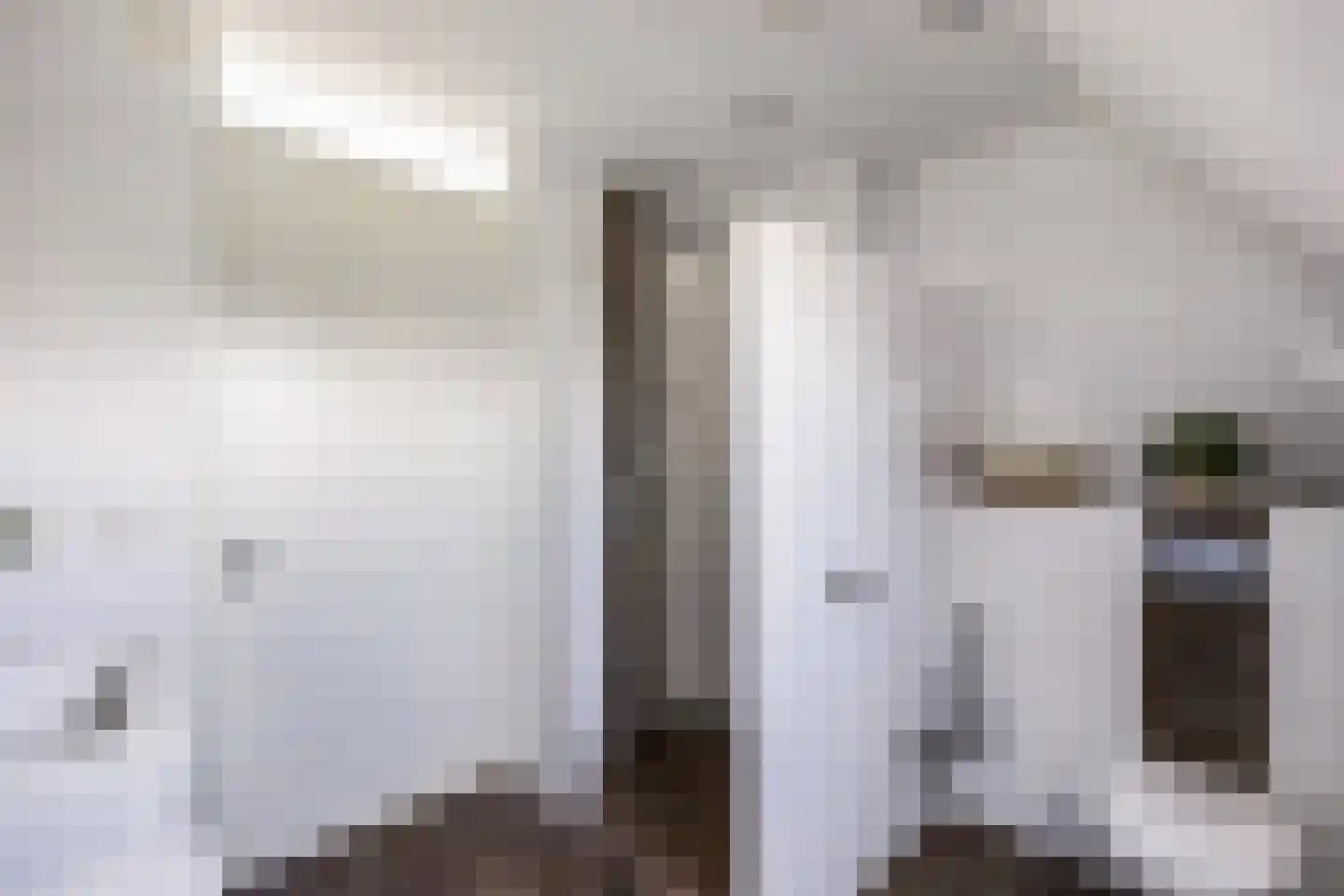 Rozenstraat 26 Luttelgeest thumbnail 55