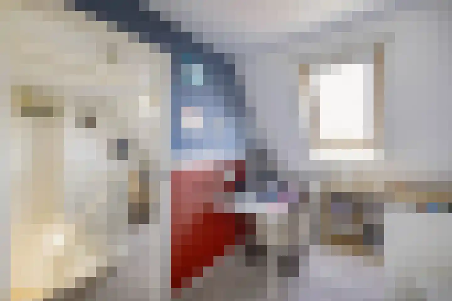 Rozenstraat 26 Luttelgeest thumbnail 57