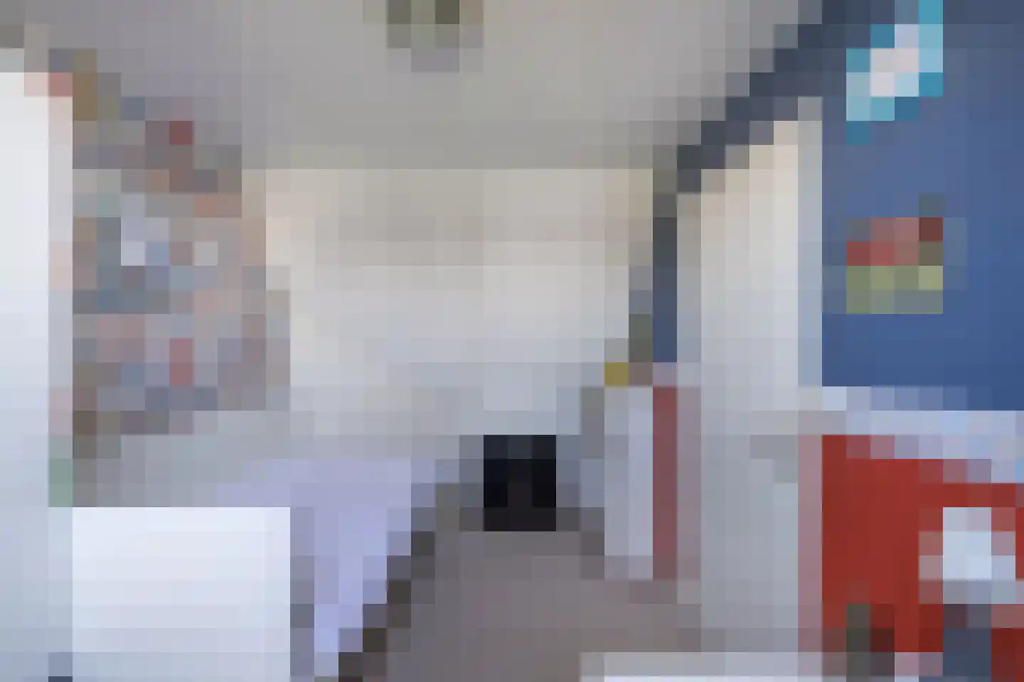 Rozenstraat 26 Luttelgeest thumbnail 59
